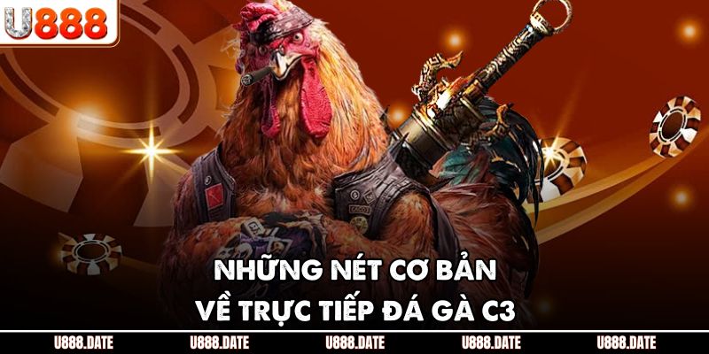 Những nét cơ bản về trực tiếp đá gà C3