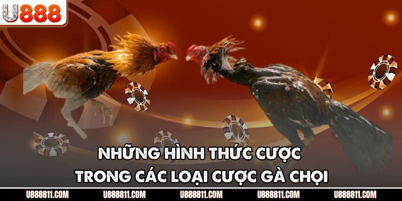 Những hình thức cược trong các loại cược gà chọi
